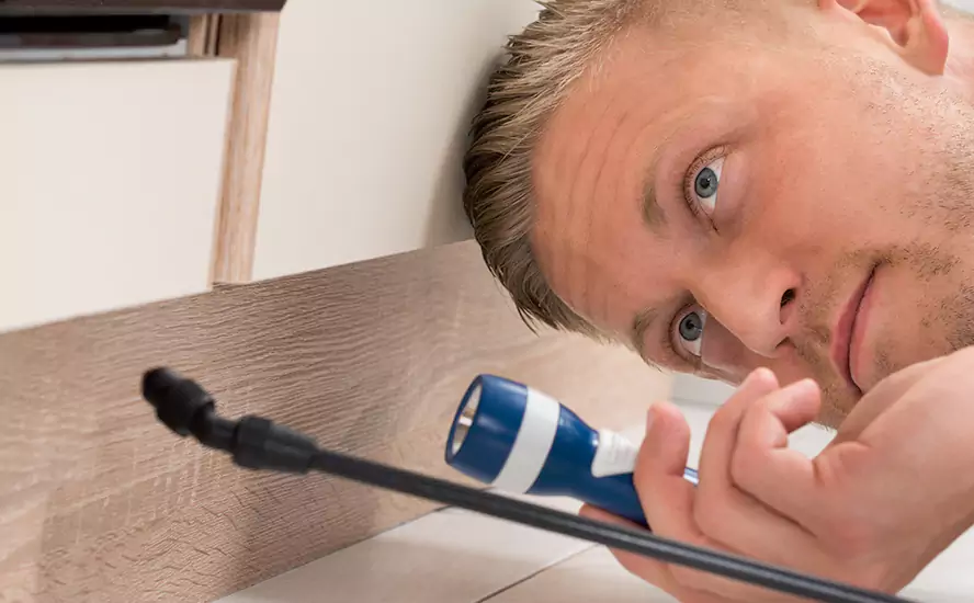 Top-Notch Pest Control in Mission Viejo