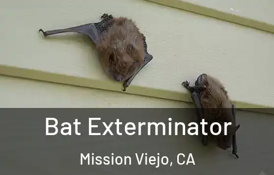  Bat Exterminator Mission Viejo, CA
