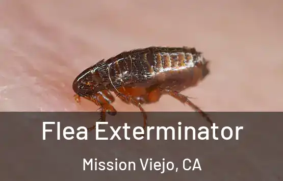 Flea Exterminator Mission Viejo, CA