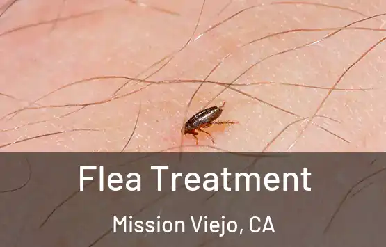  Flea Treatment Mission Viejo, CA