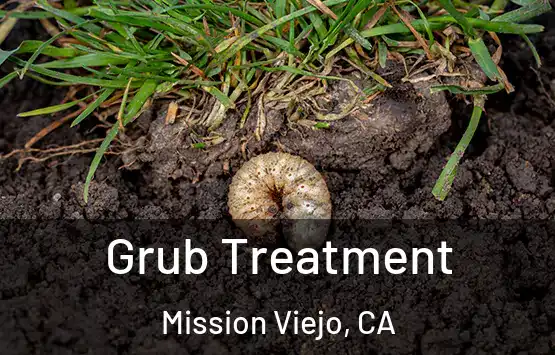  Grub Treatment Mission Viejo, CA