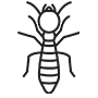 Termites Pest Control Mission Viejo, California
