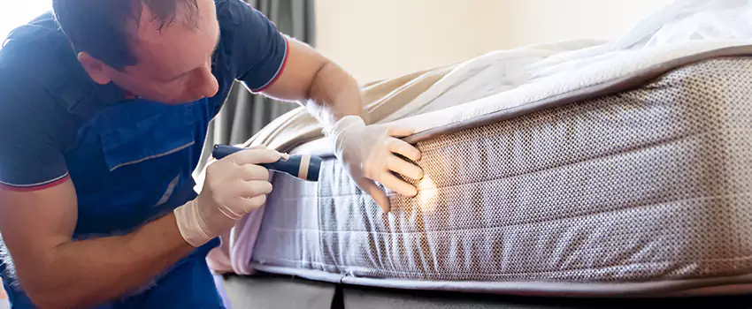 bed-bug-exterminator in Mission Viejo, CA