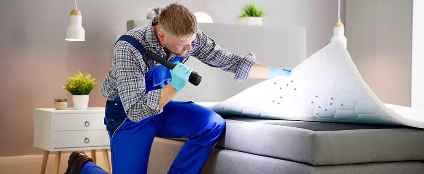 bed-bug-treatment in Mission Viejo, CA