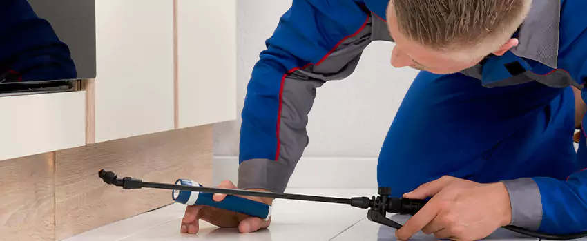 Commercial Pest Control for Offices in Mission Viejo, CA