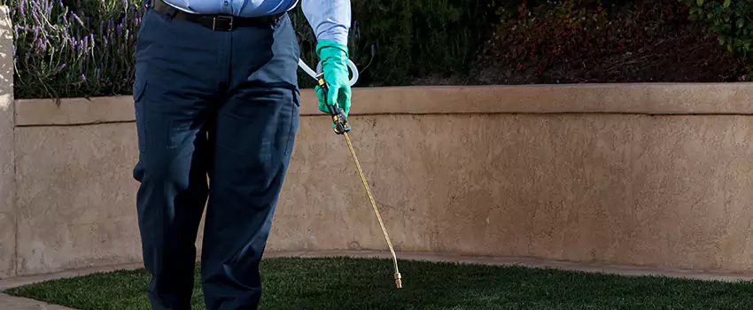 Emergency Pest Extermination for Children and Pets Mission Viejo, CA