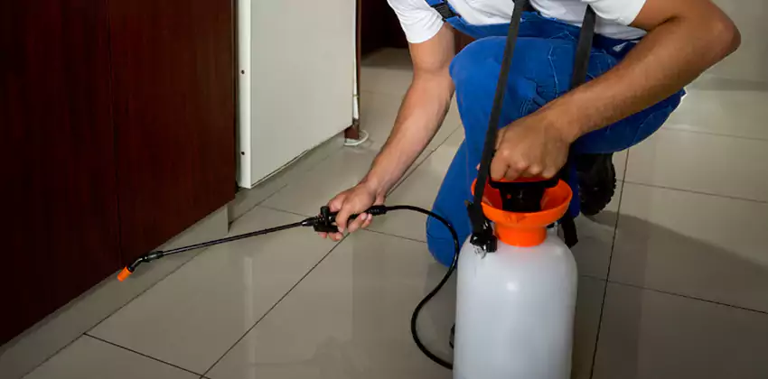 Commercial Flea Exterminator Company in Mission Viejo, CA