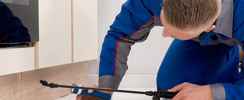 Termite Control for Children and Pets in Mission Viejo, CA