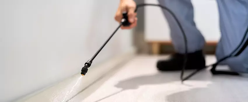 pest-exterminator in Mission Viejo, CA