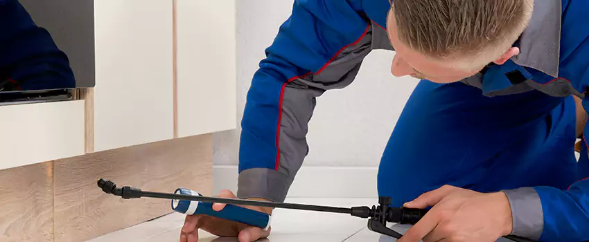 Pest Exterminator Company in Mission Viejo, CA