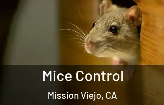  Mice Control Mission Viejo, CA