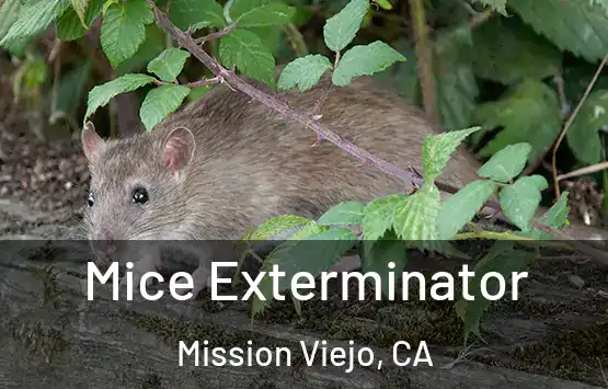  Mice Exterminator Mission Viejo, CA