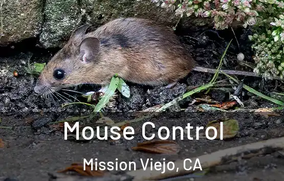  Mouse Control Mission Viejo, CA