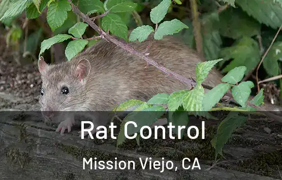  Rat Control Mission Viejo, CA