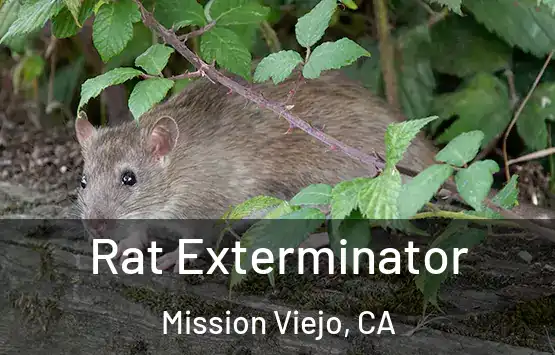  Rat Exterminator Mission Viejo, CA