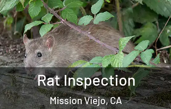  Rat Inspection Mission Viejo, CA