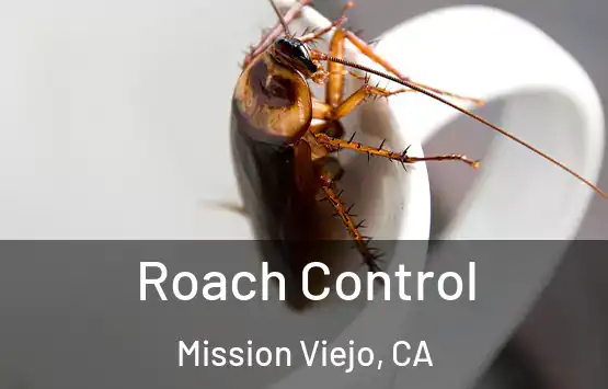  Roach Control Mission Viejo, CA