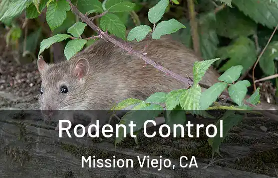  Rodent Control Mission Viejo, CA