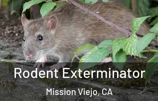  Rodent Exterminator Mission Viejo, CA