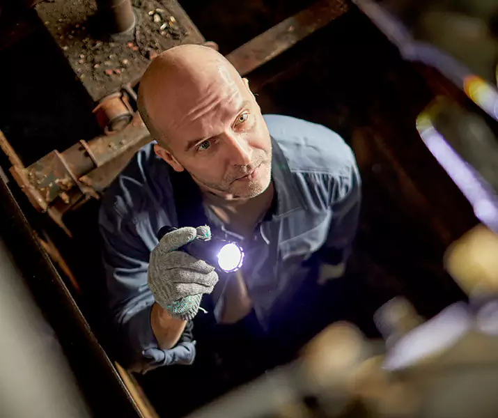 About Pest Inspection Mission Viejo