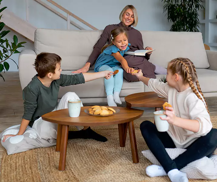 About Spider Exterminator Mission Viejo