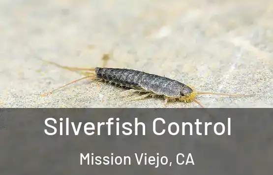  Silverfish Control Mission Viejo, CA