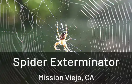  Spider Exterminator Mission Viejo, CA