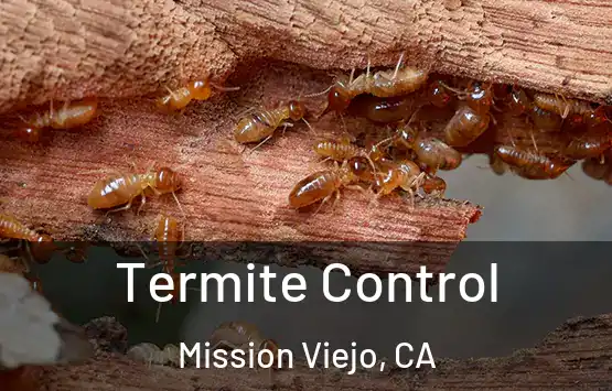  Termite Control Mission Viejo, CA