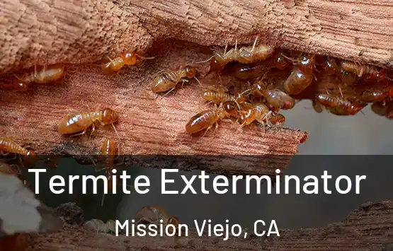  Termite Exterminator Mission Viejo, CA