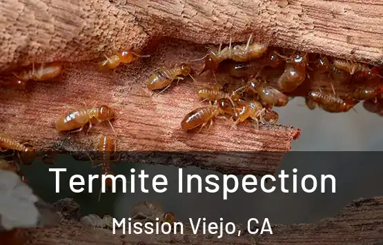  Termite Inspection Mission Viejo, CA