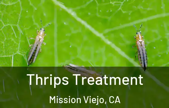  Thrips Treatment Mission Viejo, CA