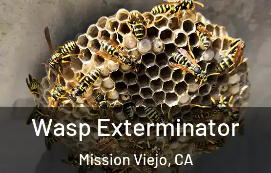  Wasp Exterminator Mission Viejo, CA