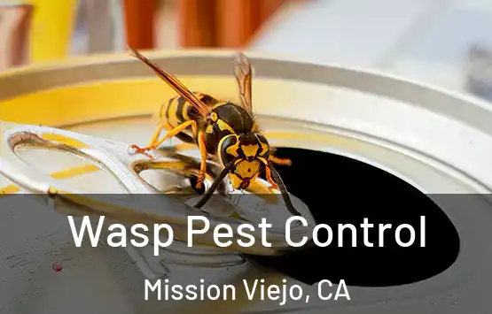  Wasp Pest Control Mission Viejo, CA