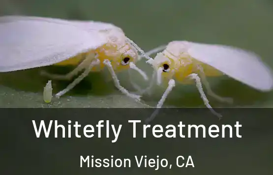  Whitefly Treatment Mission Viejo, CA