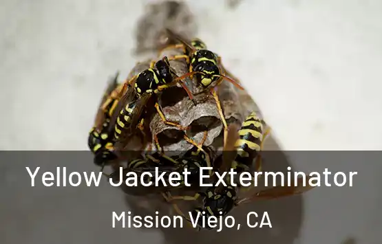  Yellow Jacket Exterminator Mission Viejo, CA
